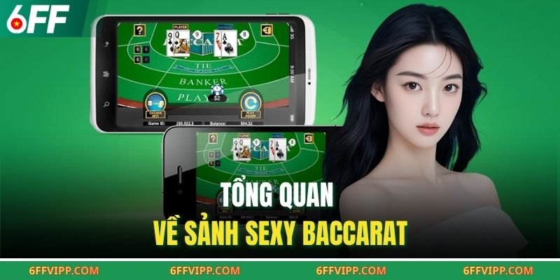 Tổng quan về sảnh Sexy baccarat
